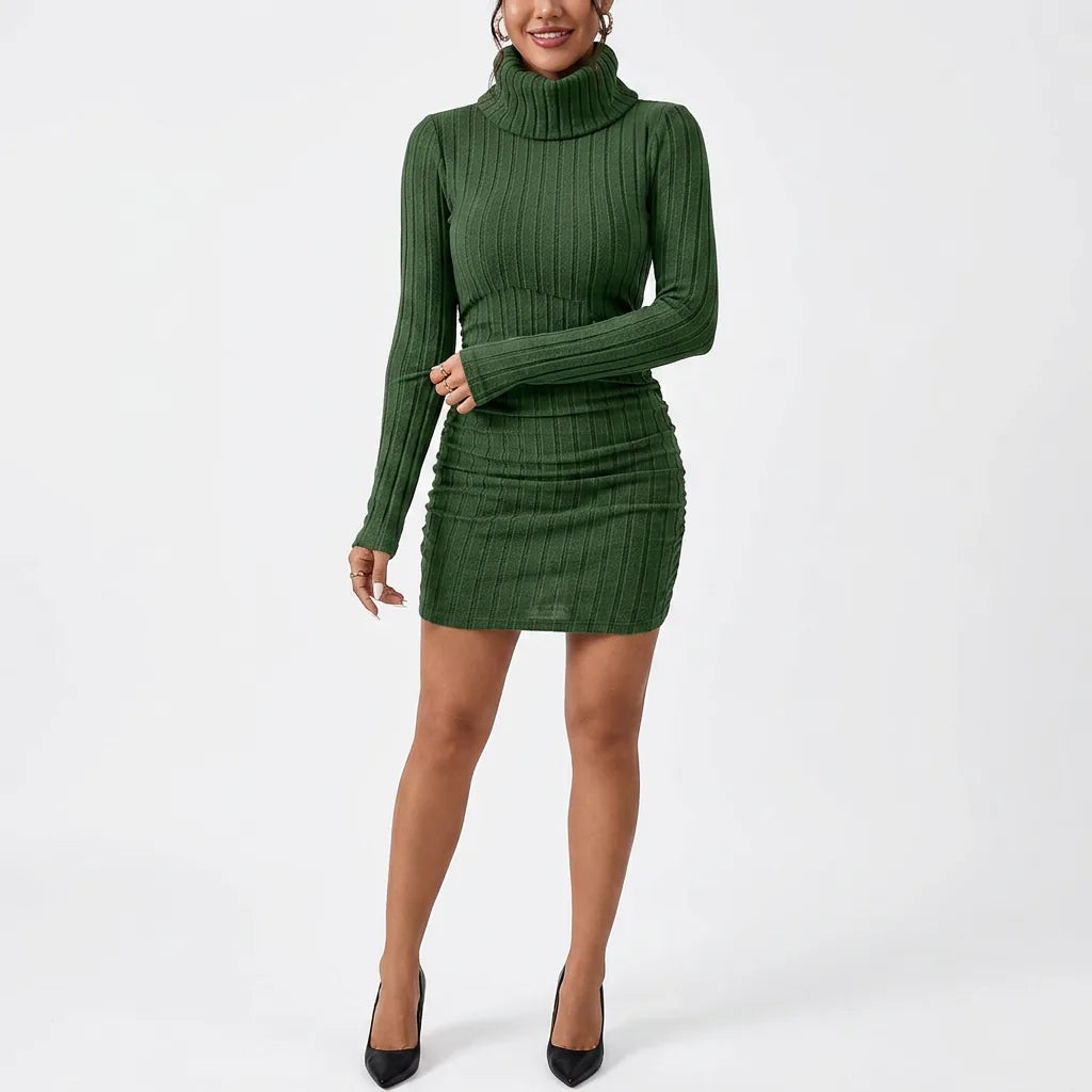 Ribbed Knit Turtleneck Mini Dress