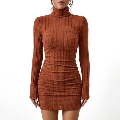 Ribbed Knit Turtleneck Mini Dress