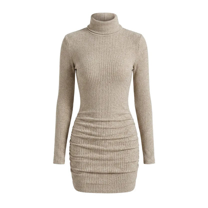 Ribbed Knit Turtleneck Mini Dress