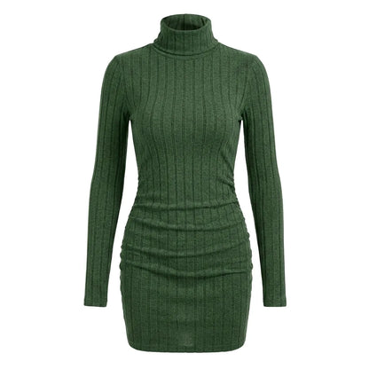 Ribbed Knit Turtleneck Mini Dress
