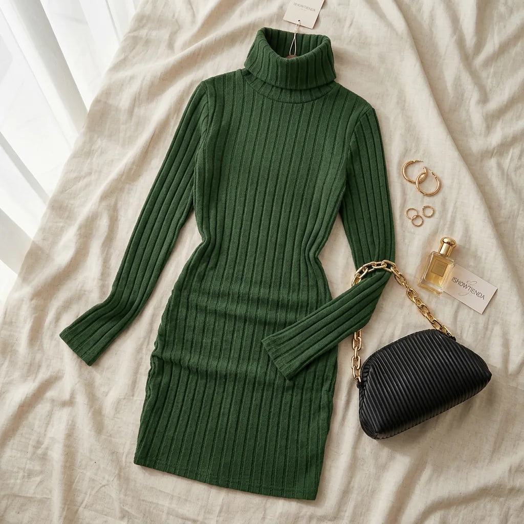 Ribbed Knit Turtleneck Mini Dress
